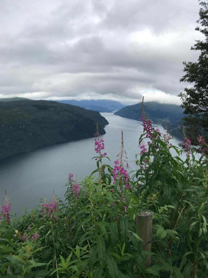 Panorama Fjord Olden Daire Dış mekan fotoğraf