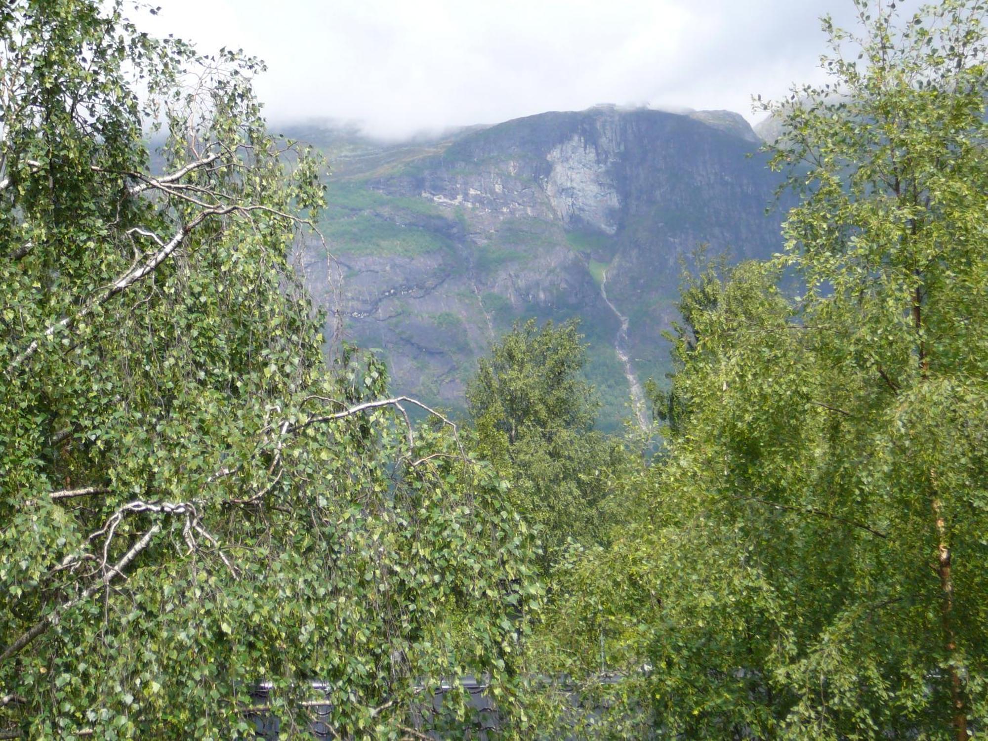 Panorama Fjord Olden Daire Dış mekan fotoğraf